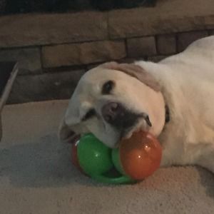 Meet your Posher, Richard